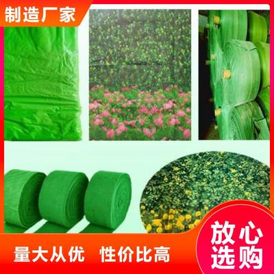 防寒裹树布工厂 呵护绿植的温暖守护者