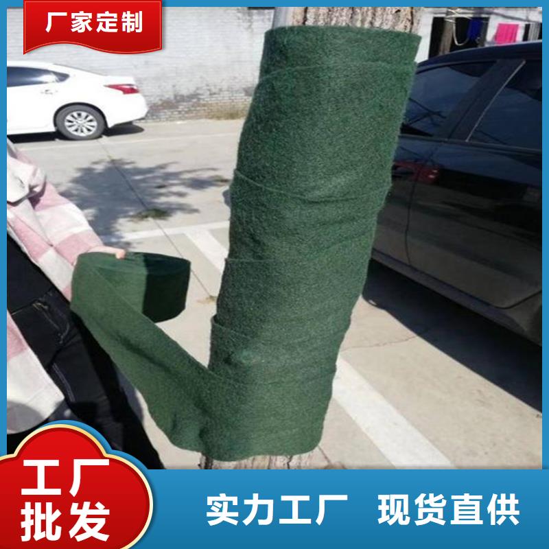裹树布 保护绿植的秘密武器
